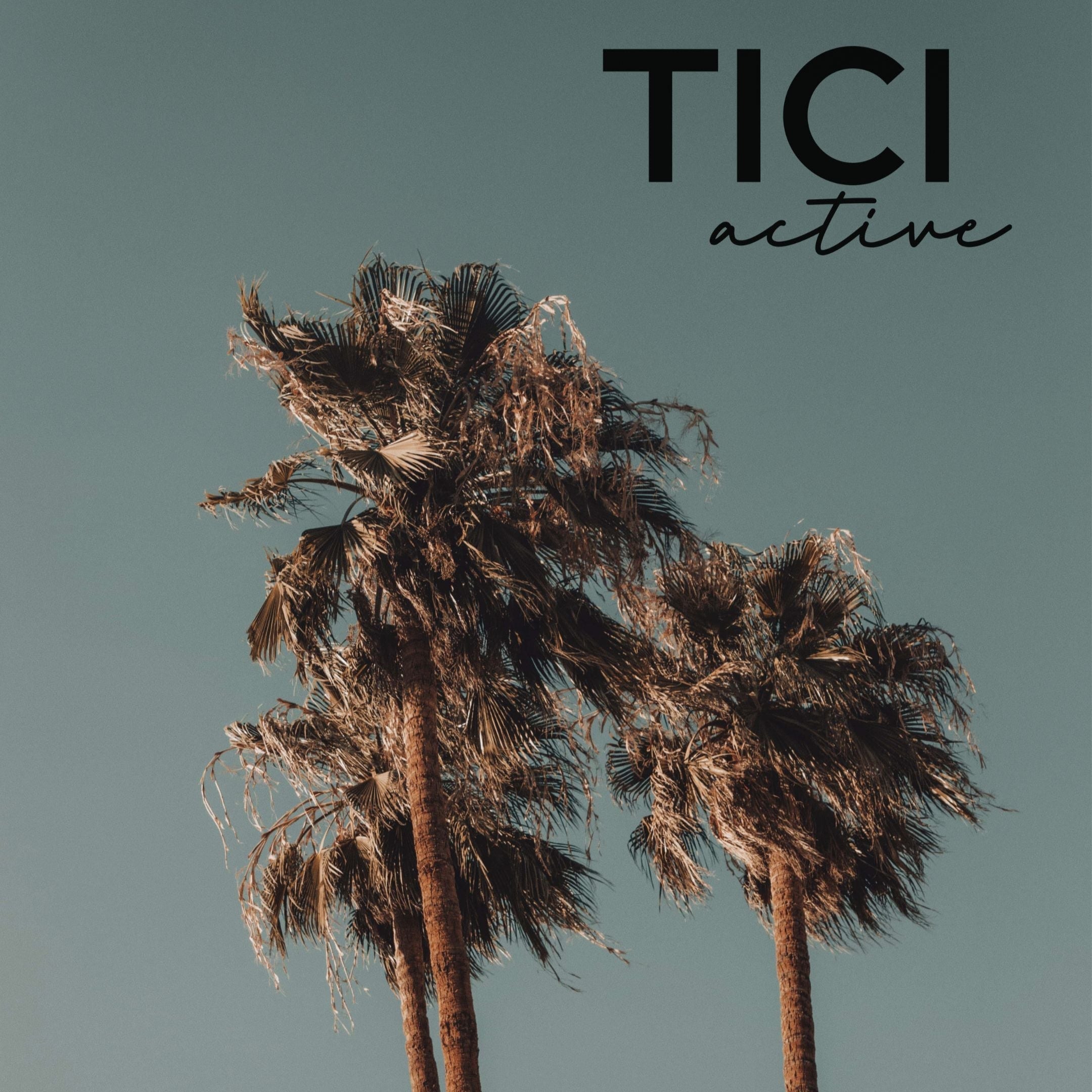 tici active logo palm tree california